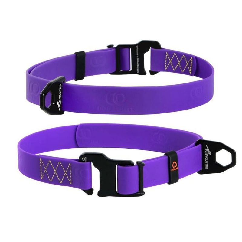 Evolutor Hundhalsband One Size 25mm 25-70cm (Lila)
