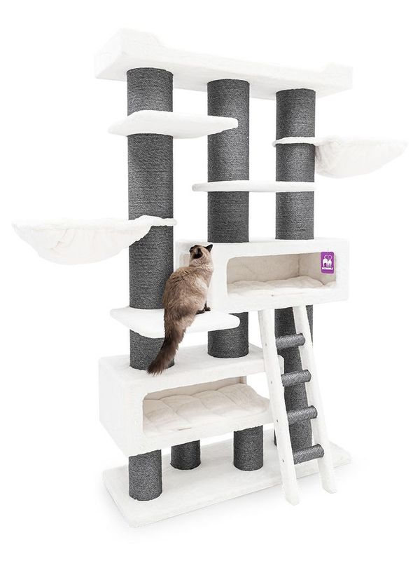 Klösträd Siberian 200