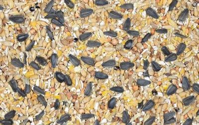 tenant-sync-y9UtrjopdGveeEP1764326570