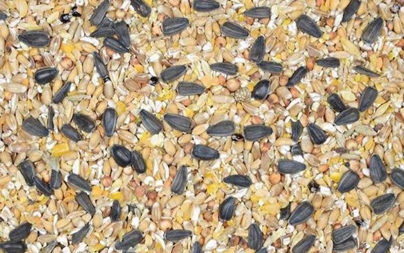 Oxéna Värpmüsli 14kg