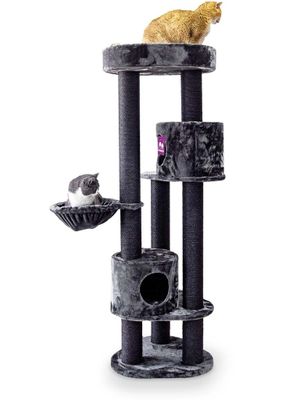 tenant-sync-yRGnFQG9fz9zpFn1767011875