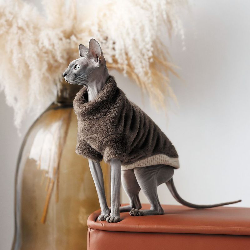 Stickad Tröja för katter Brun