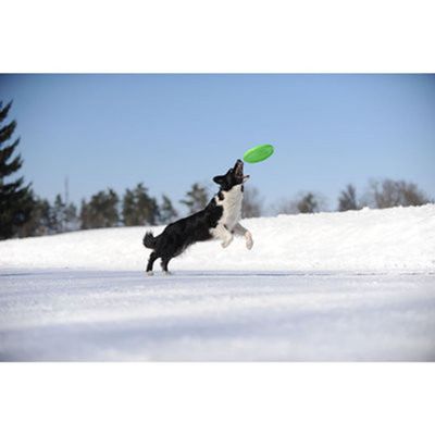 Hundfrisbee FLYBER 22cm Ljusgrön