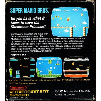 SUPER MARIO BROS NES SCN