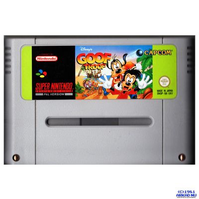 GOOF TROOP SNES