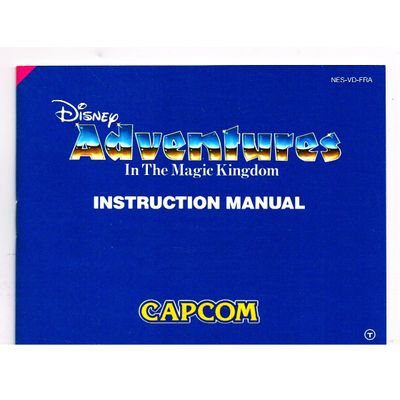 DISNEY ADVENTURE IN THE MAGIC KINGDOM NES