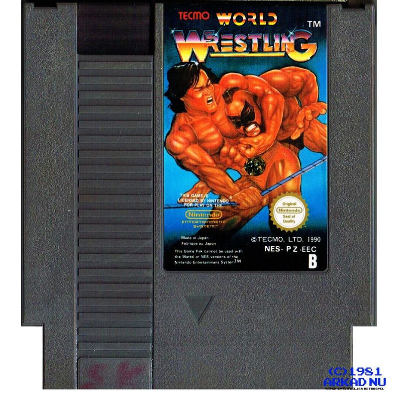 TECMO WORLD WRESTLING NES SCN