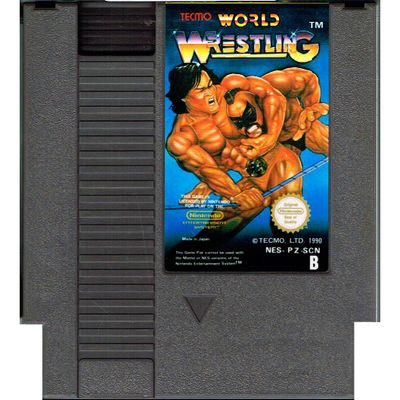 TECMO WORLD WRESTLING NES SCN