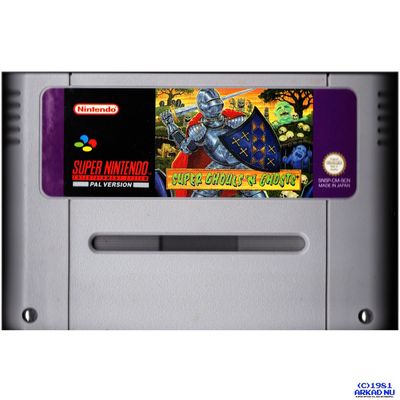 SUPER GHOULS N GHOSTS SNES SCN