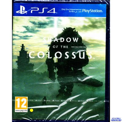 SHADOW OF THE COLOSSUS PS4