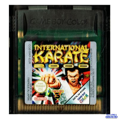 INTERNATIONAL KARATE 2000 GAMEBOY COLOR