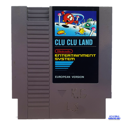 CLU CLU LAND NES