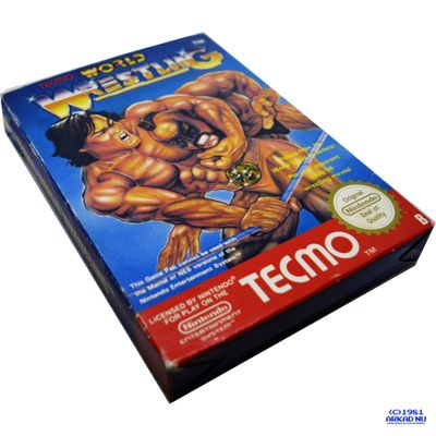 TECMO WORLD WRESTLING NES SCN