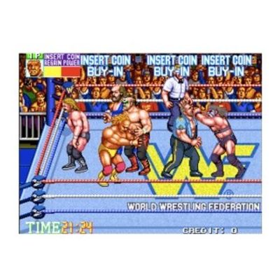 WWF WRESTLEFEST PCB