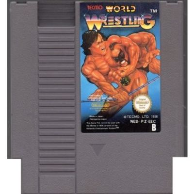 TECMO WORLD WRESTLING NES SCN