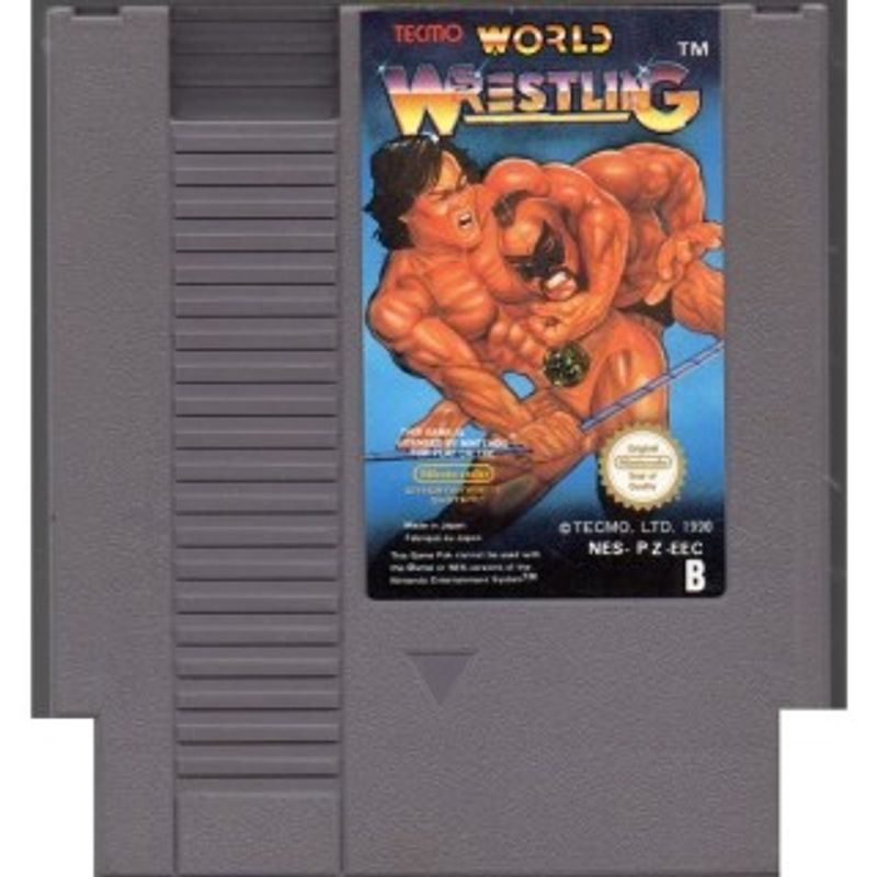 TECMO WORLD WRESTLING NES SCN