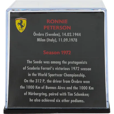 Ronnie Peterson - Hjälm - 1972 - Magazine Models - 1:5