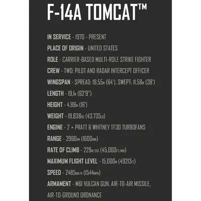 Grumman F14 Tomcat - Top Gun - Byggklossar - 5920 - COBI - 1:48