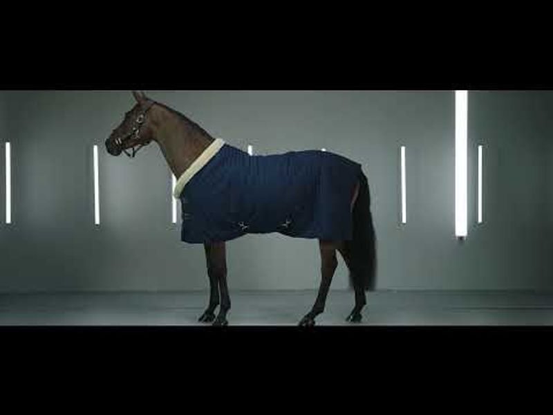 Kentucky Horsewear show rug 160g brown