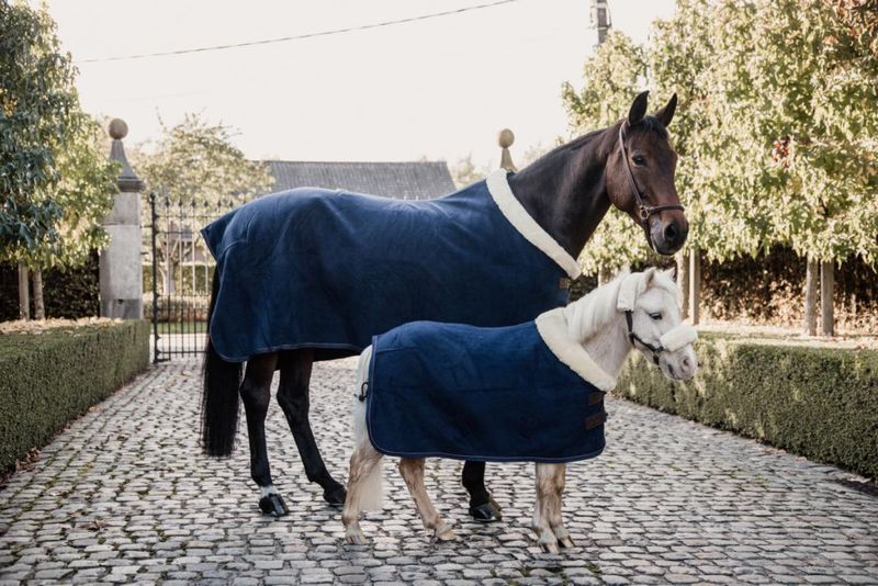 Kentucky Fleece show rug heavy navy