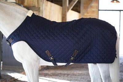 Kentucky Horsewear Walker rug 160g