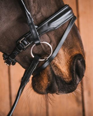 JACOB SÖTMALM BRIDONG LÖSA RINGAR