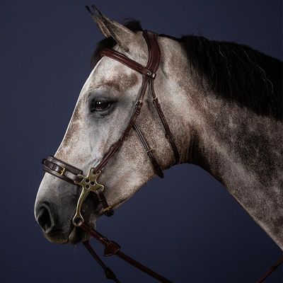 Dyon Träns för hackamore NE