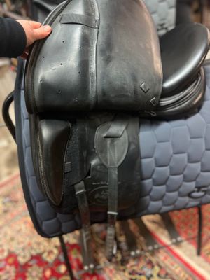 Prestige Lucky dressage 16/34