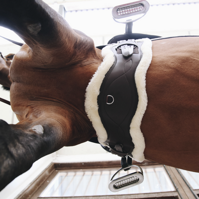 Kentucky anatomisk dressyrgjord brun med fårskinn