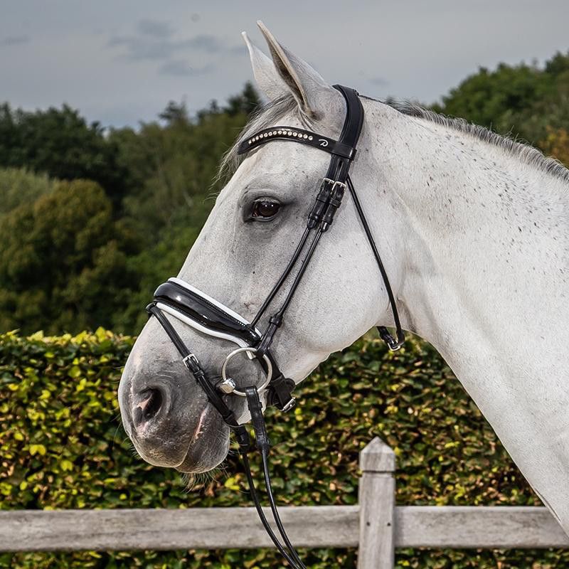 Dyon Rundsytt träns bred vitfodrad lack pullbacknos NR