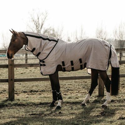 Kentucky Mesh Fly Rug