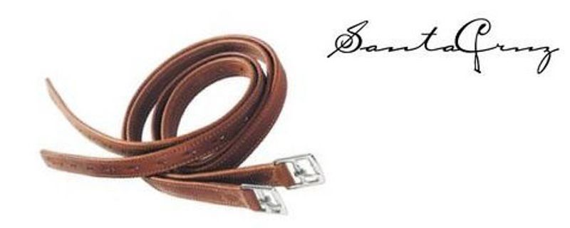 Santa Cruz stigläder