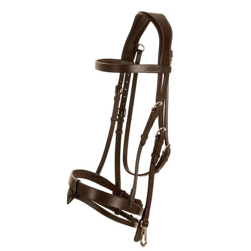 Träns Lippo Basic Trainer