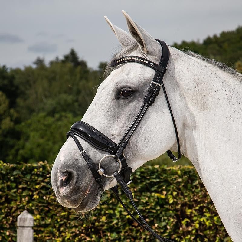 Dyon Rundsytt träns bred lackad pullbacknosgrimma NR