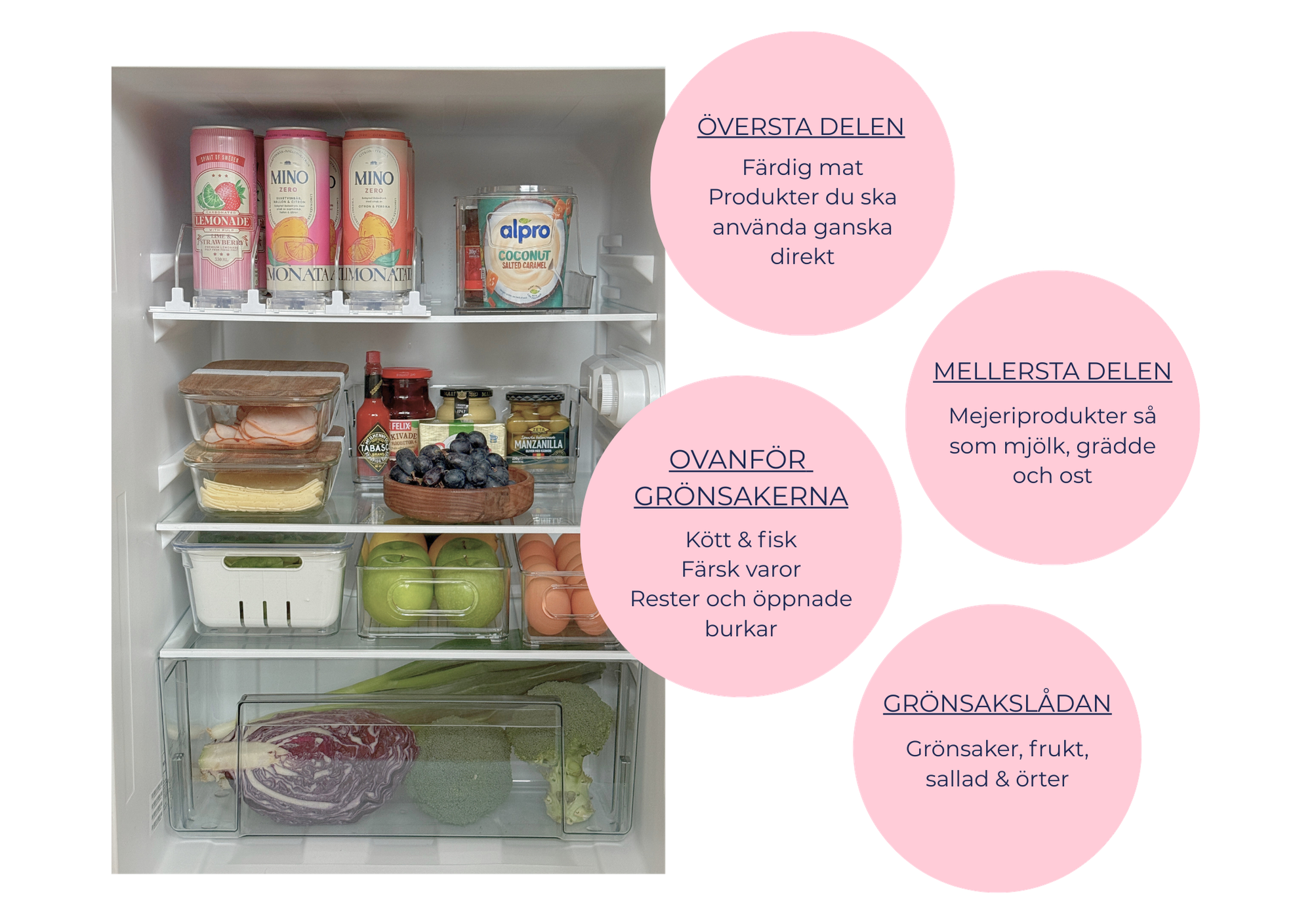 Ett organiserat kylskåp med tydliga zoner: färdigmat högst upp, kött och fisk i mitten, och grönsaker längst ner för bästa hållbarhet.