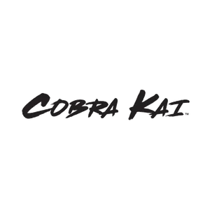 Cobra Kai – Karate Kid