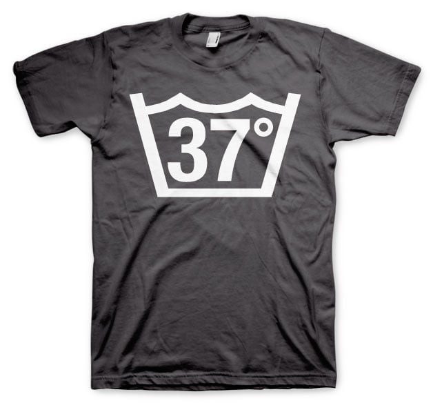 37 Celcius Tee (Dark-Grey L)