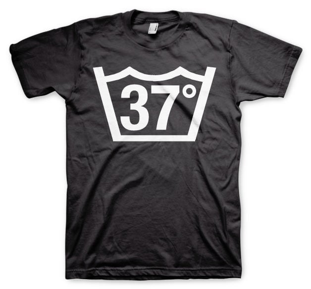 37 Celcius Tee (Black L)