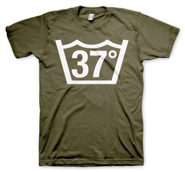 37 Celcius Tee (Olive L)