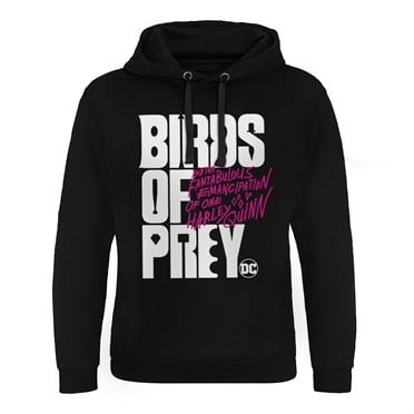 Birds Of Prey Logo Epic Hoodie Herr (Black M)