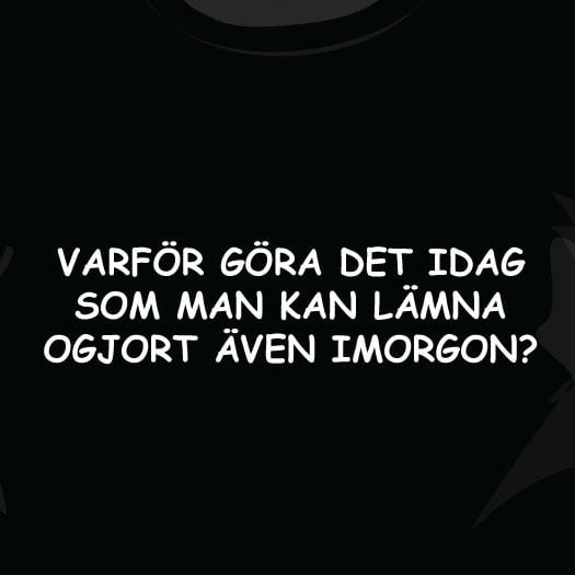 Ogjort T-shirt (XL Dam)