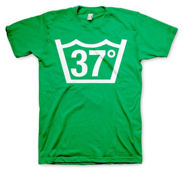 37 Celcius Tee (Green L)