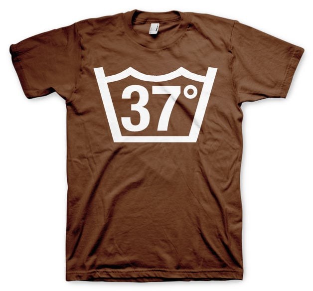 37 Celcius Tee (Brown L)