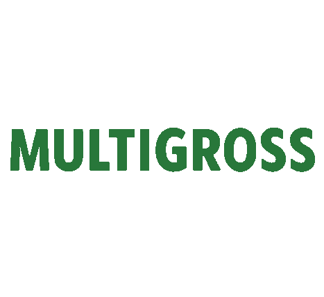 MultiGross i Malmö AB