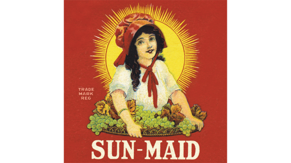 Sun Maid