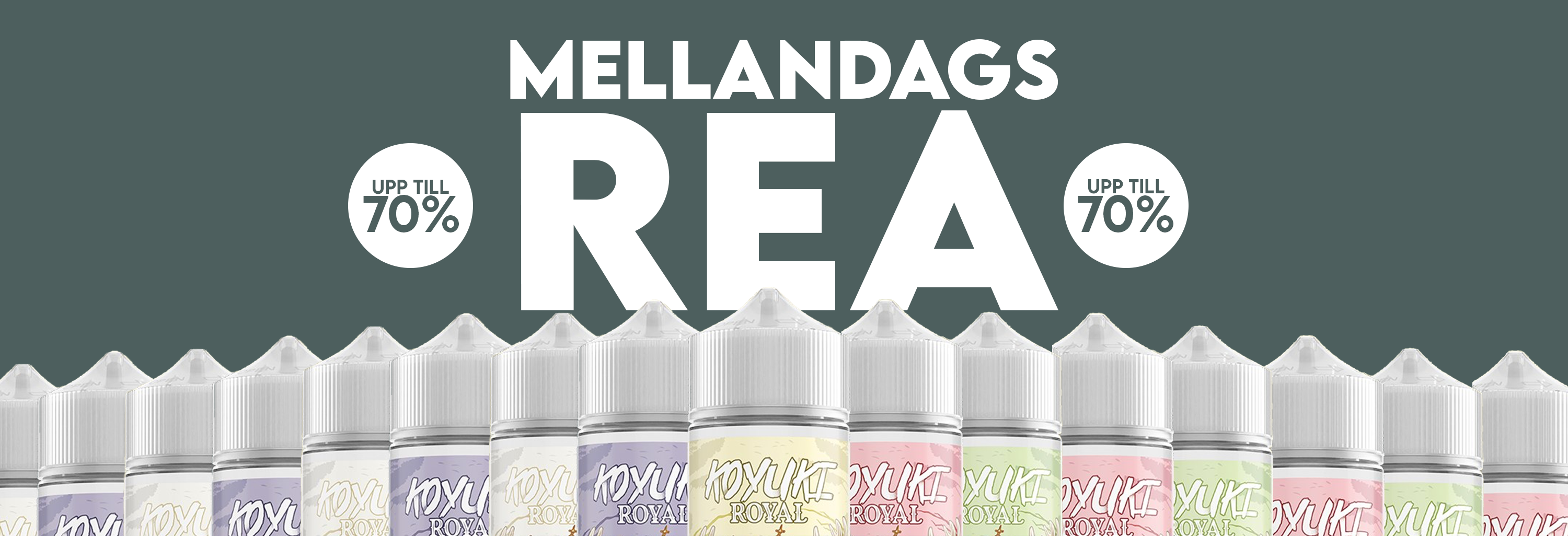 mellandagsrea banner