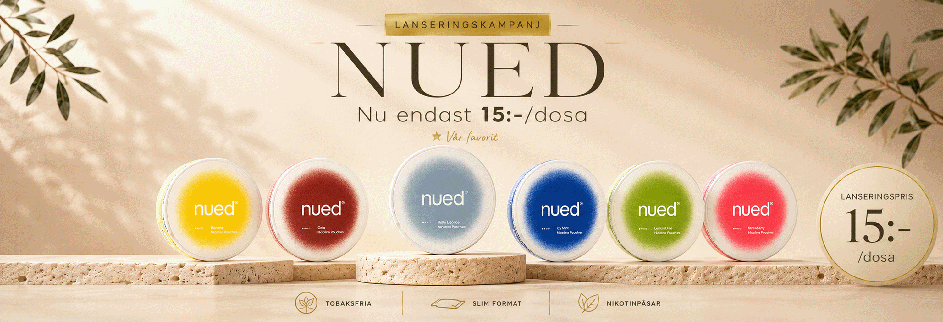 NUED Banner