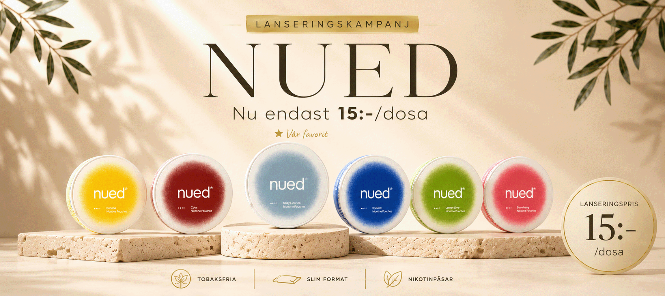 NUED Banner