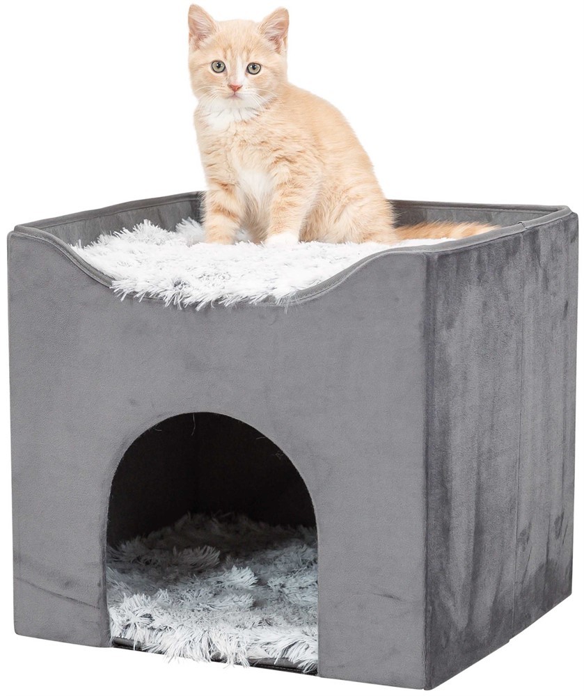 Harvey Cave kattsäng