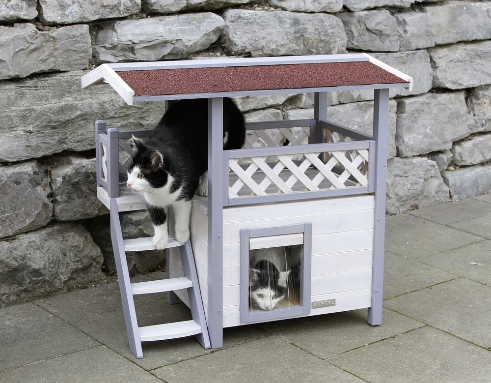 Katthus Lodge Ontario